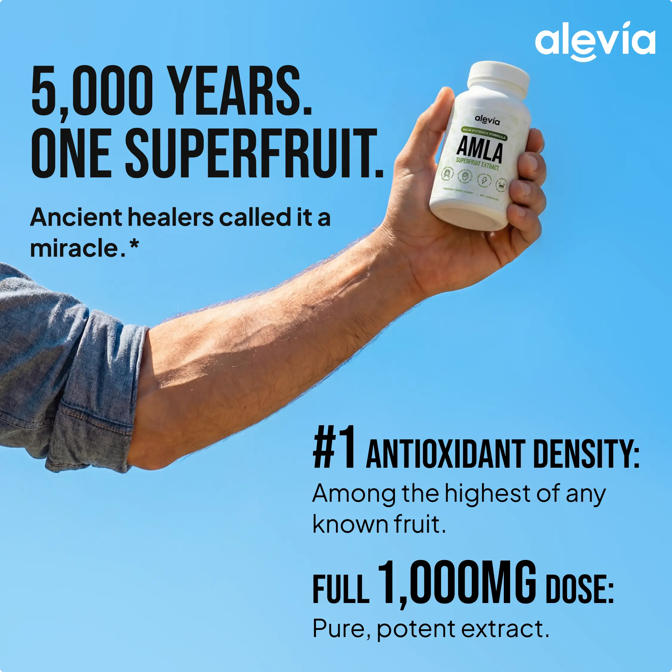 Amla Superfruit Extract